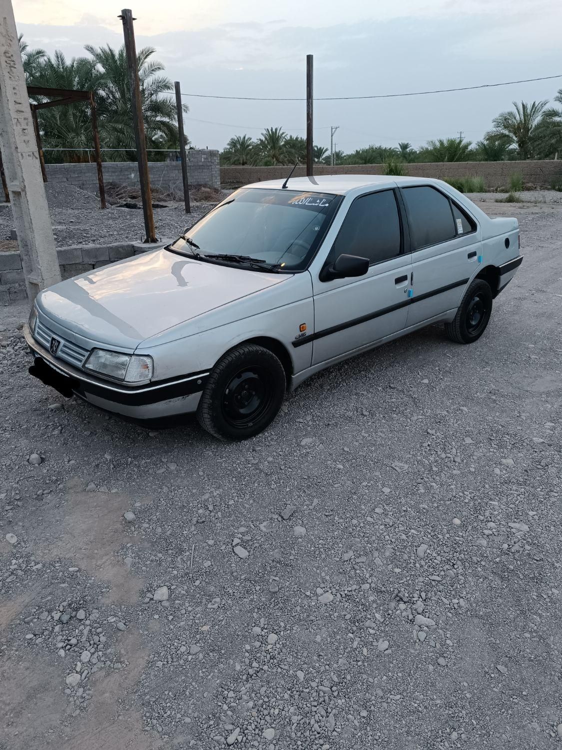 پژو 405 GL - دوگانه سوز CNG - 1369