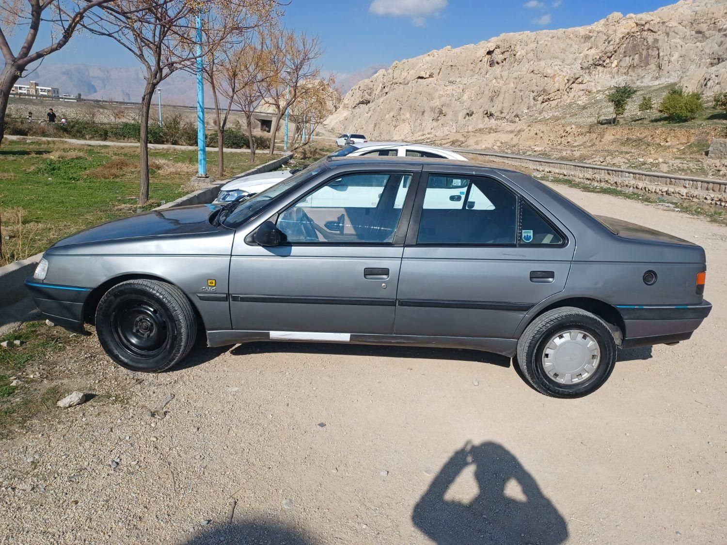 پژو 405 GL - دوگانه سوز CNG - 1371