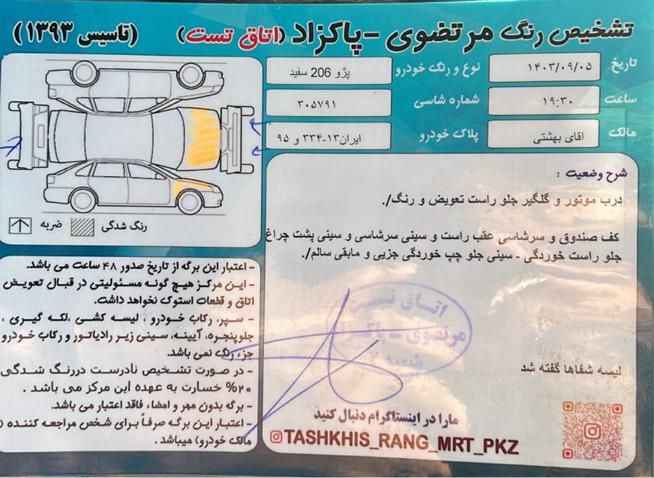 پژو 206 تیپ 5 - 1394