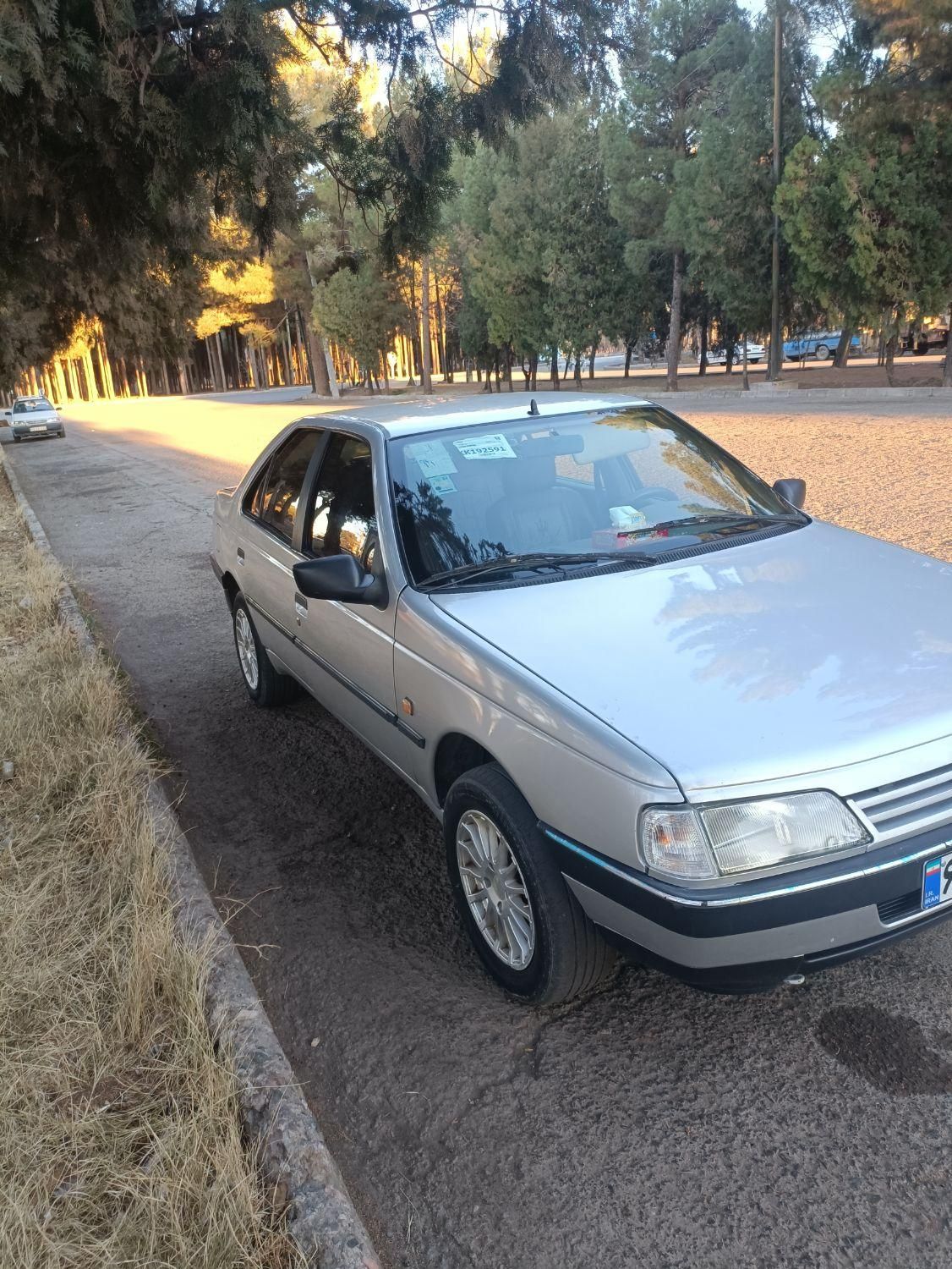 پژو 405 GL - دوگانه سوز CNG - 1373