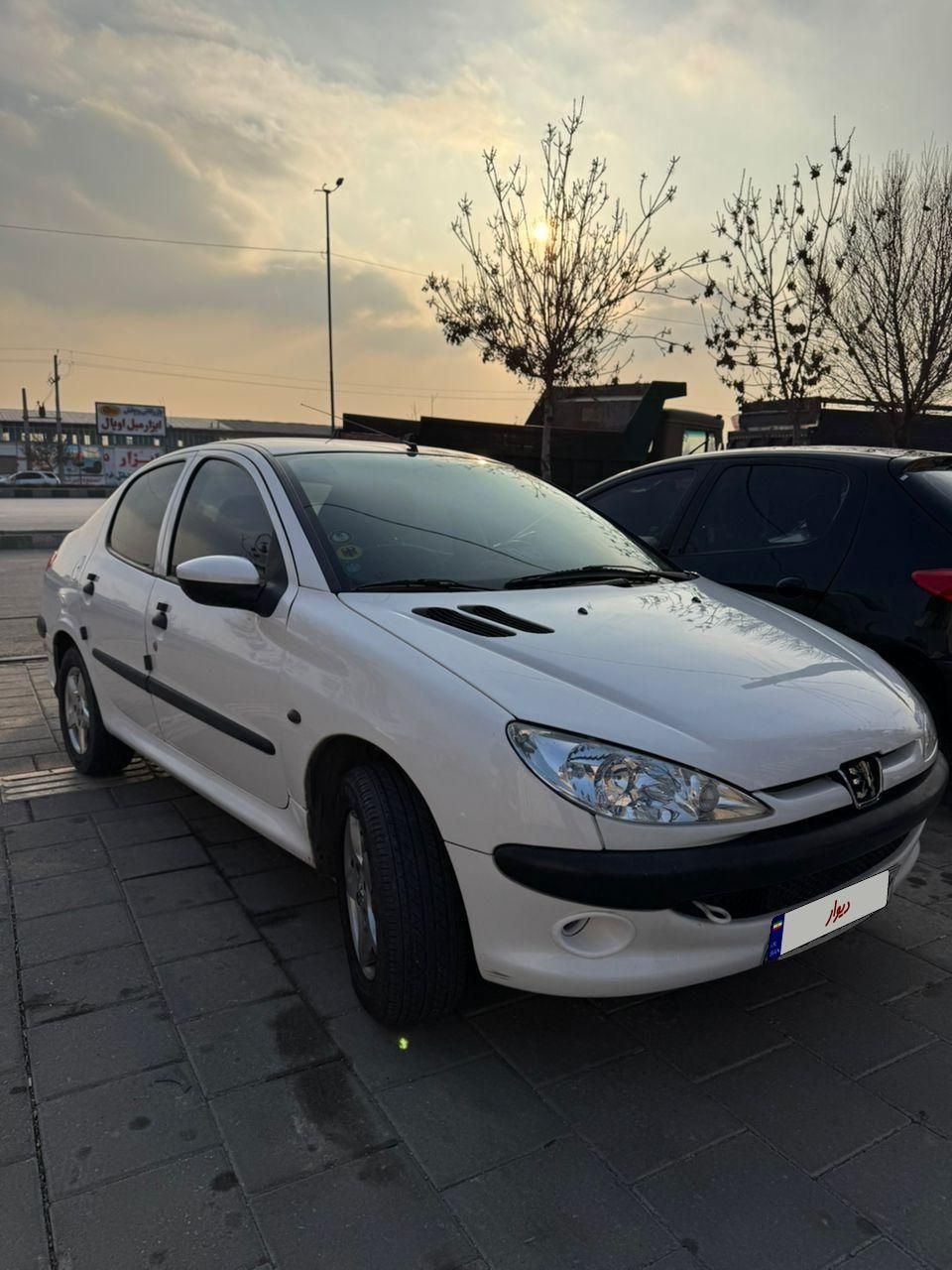 پژو 206 SD v8 - 1395