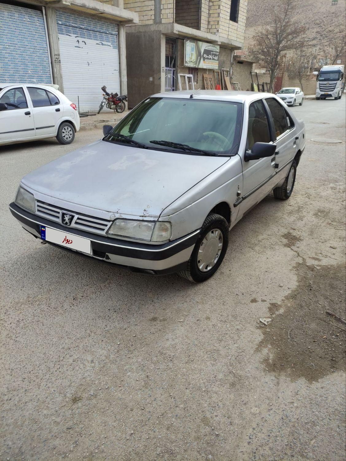 پژو 405 GL - دوگانه سوز CNG - 1369