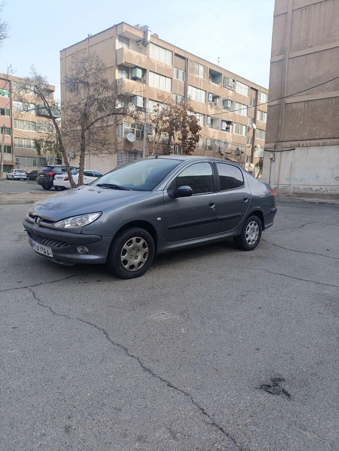 پژو 206 SD v8 - 1390