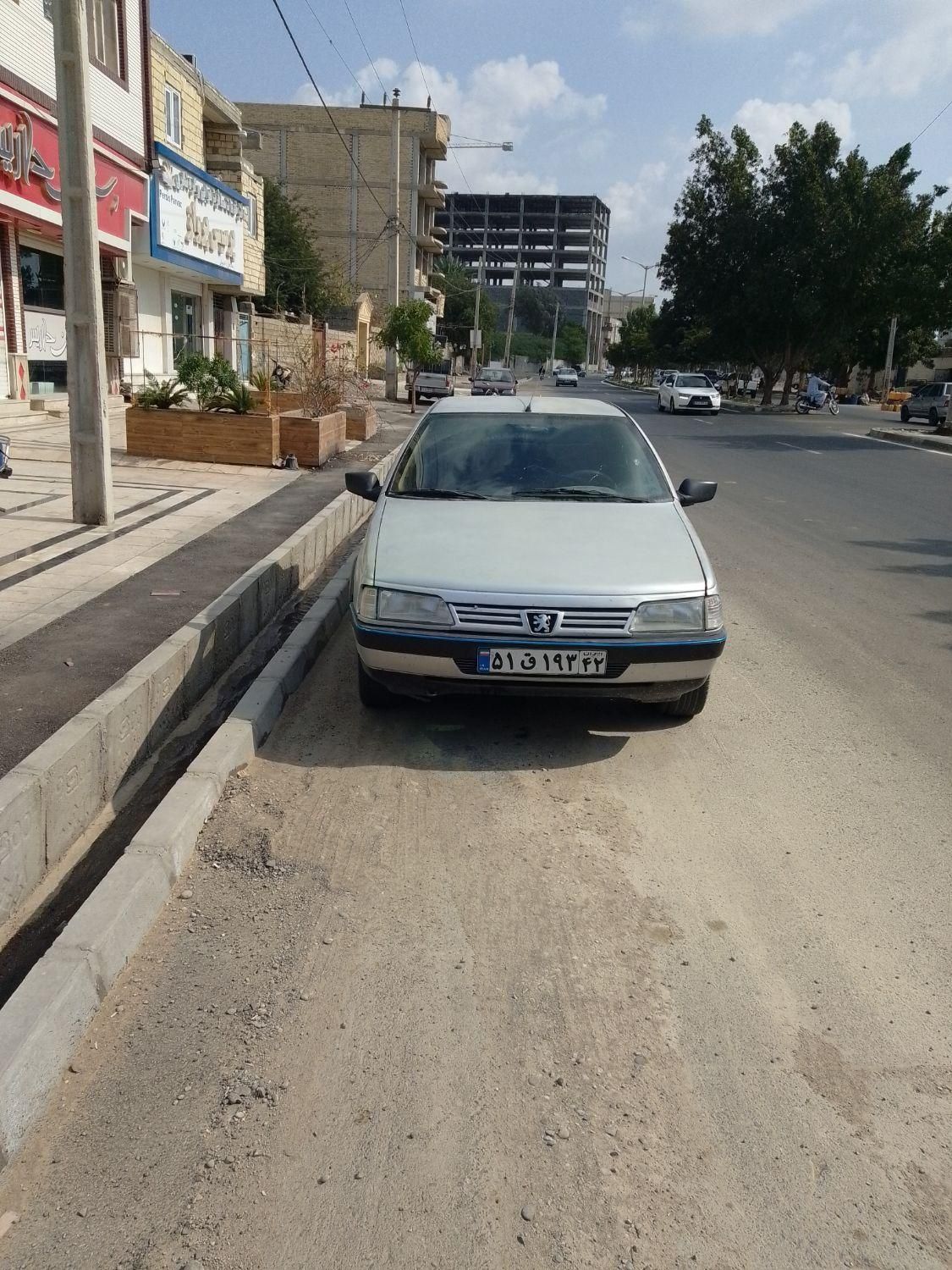 پژو 405 GL - دوگانه سوز CNG - 1370