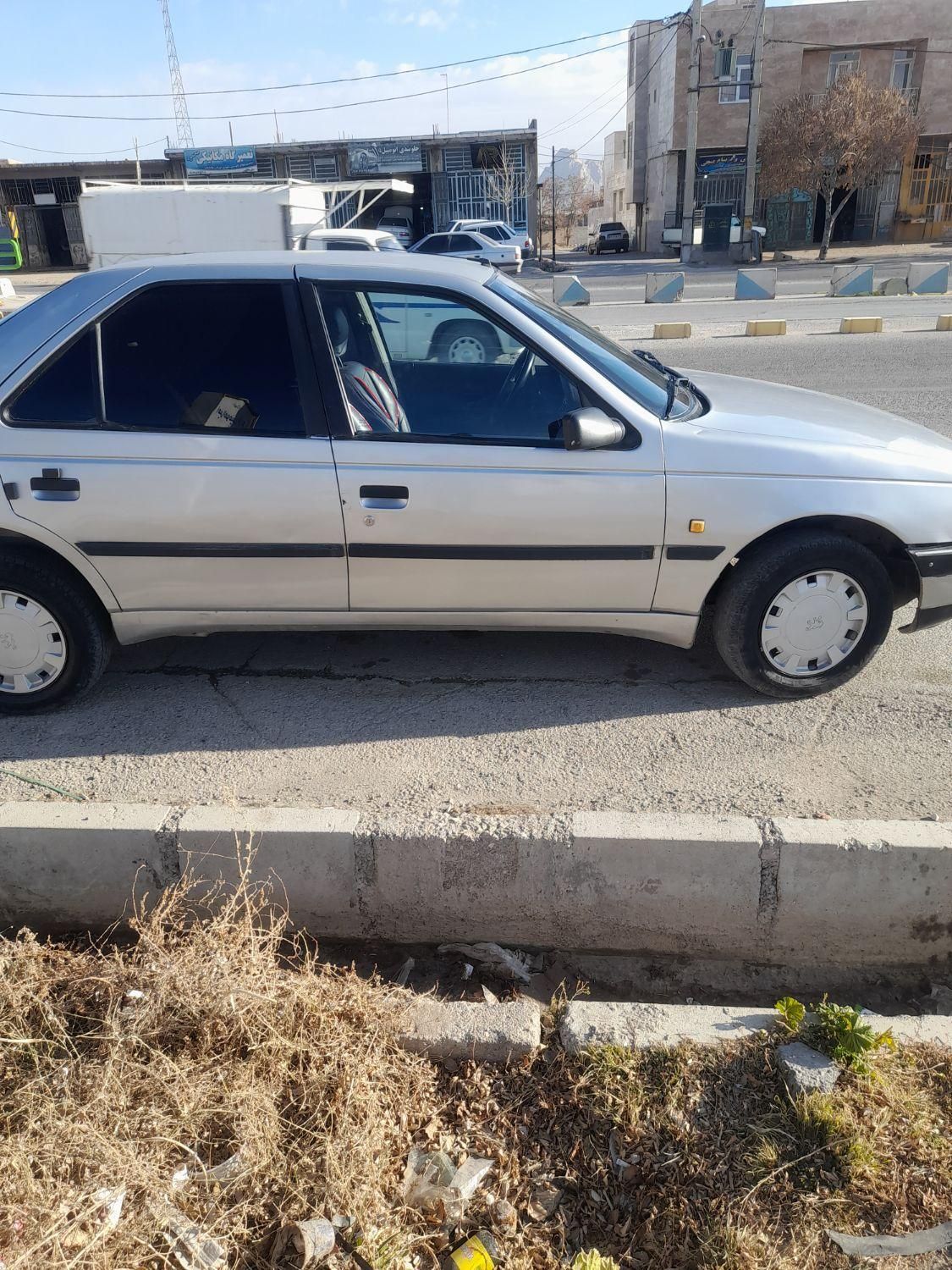 پژو 405 GL - دوگانه سوز CNG - 1369