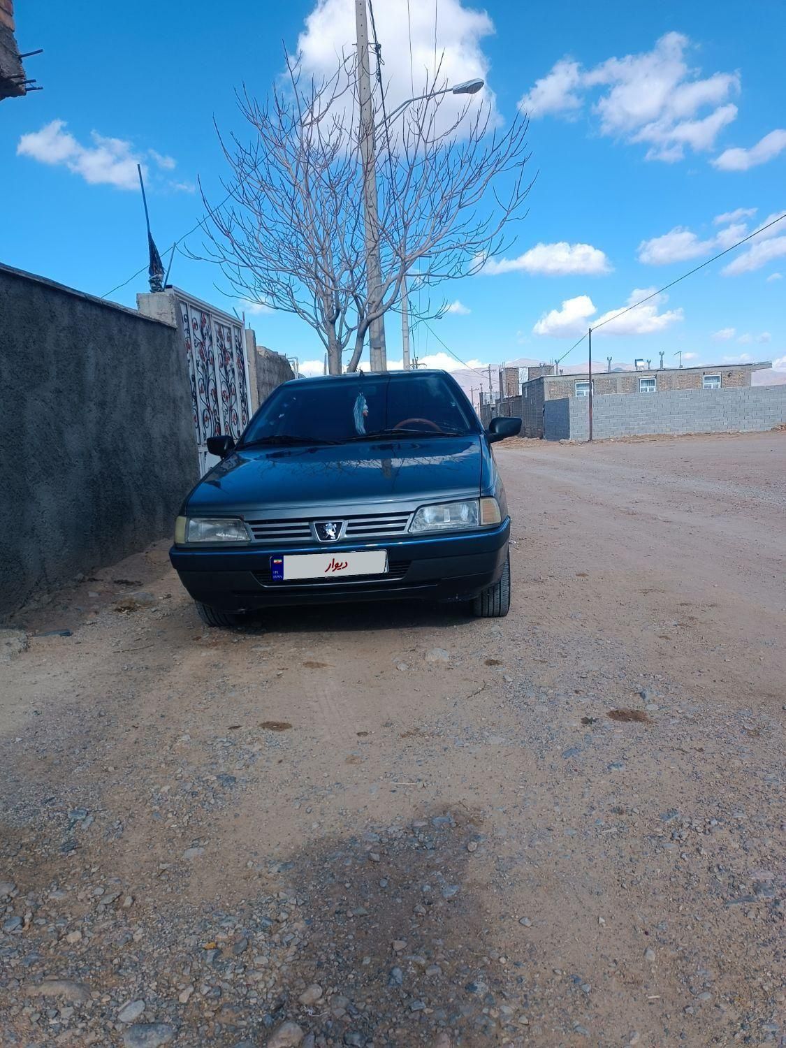 پژو 405 GL - دوگانه سوز CNG - 1373