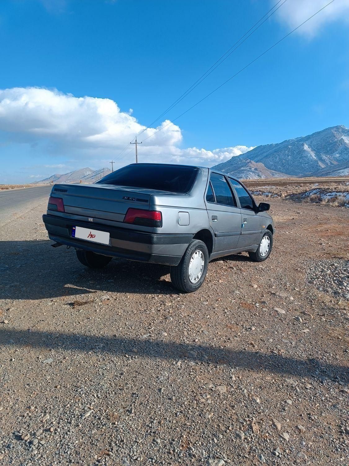 پژو 405 GL - دوگانه سوز CNG - 1373