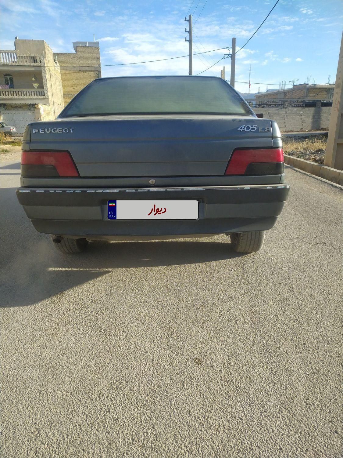 پژو 405 GL - دوگانه سوز CNG - 1369