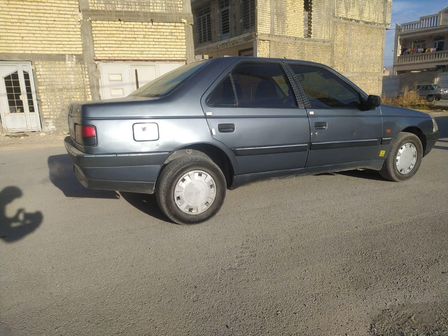 پژو 405 GL - دوگانه سوز CNG - 1369