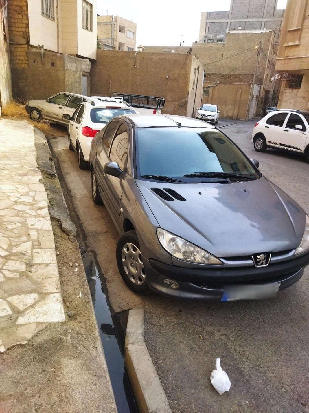 پژو 206 SD v8 - 1393