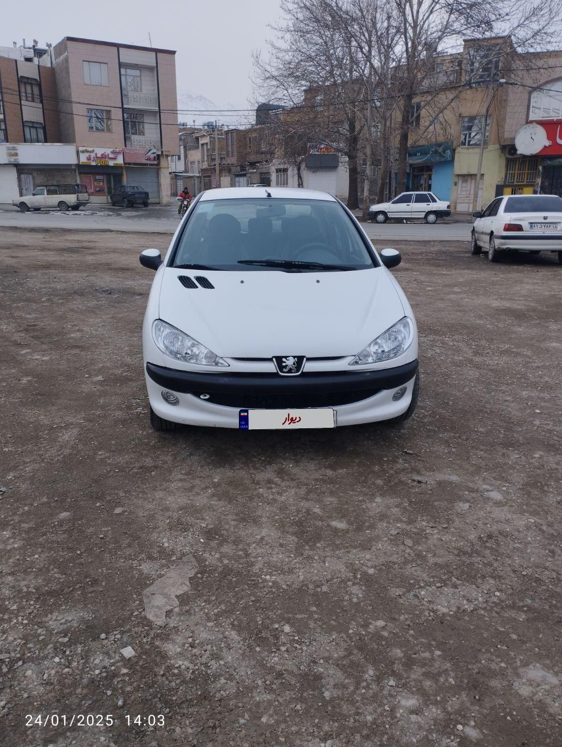 پژو 206 SD v8 - 1395