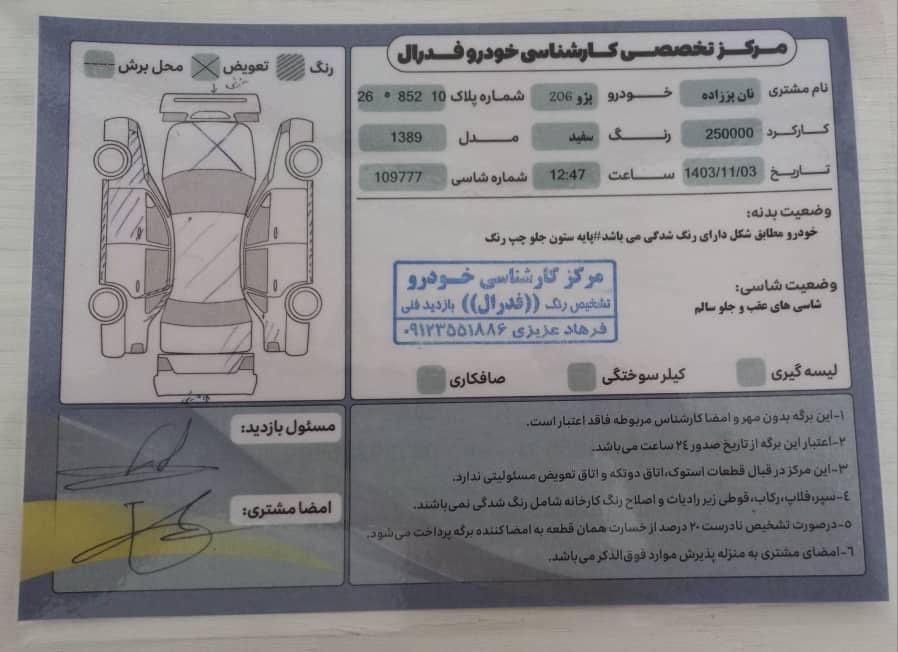 پژو 206 تیپ 2 - 1389