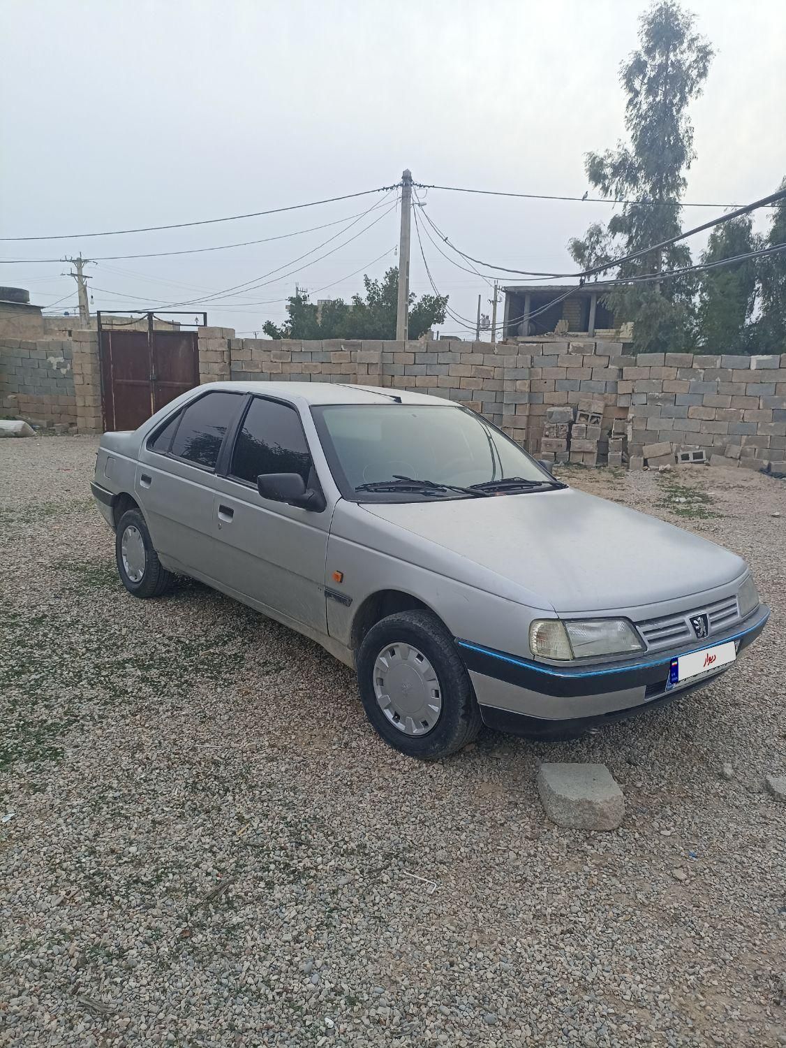 پژو 405 GL - دوگانه سوز CNG - 1369