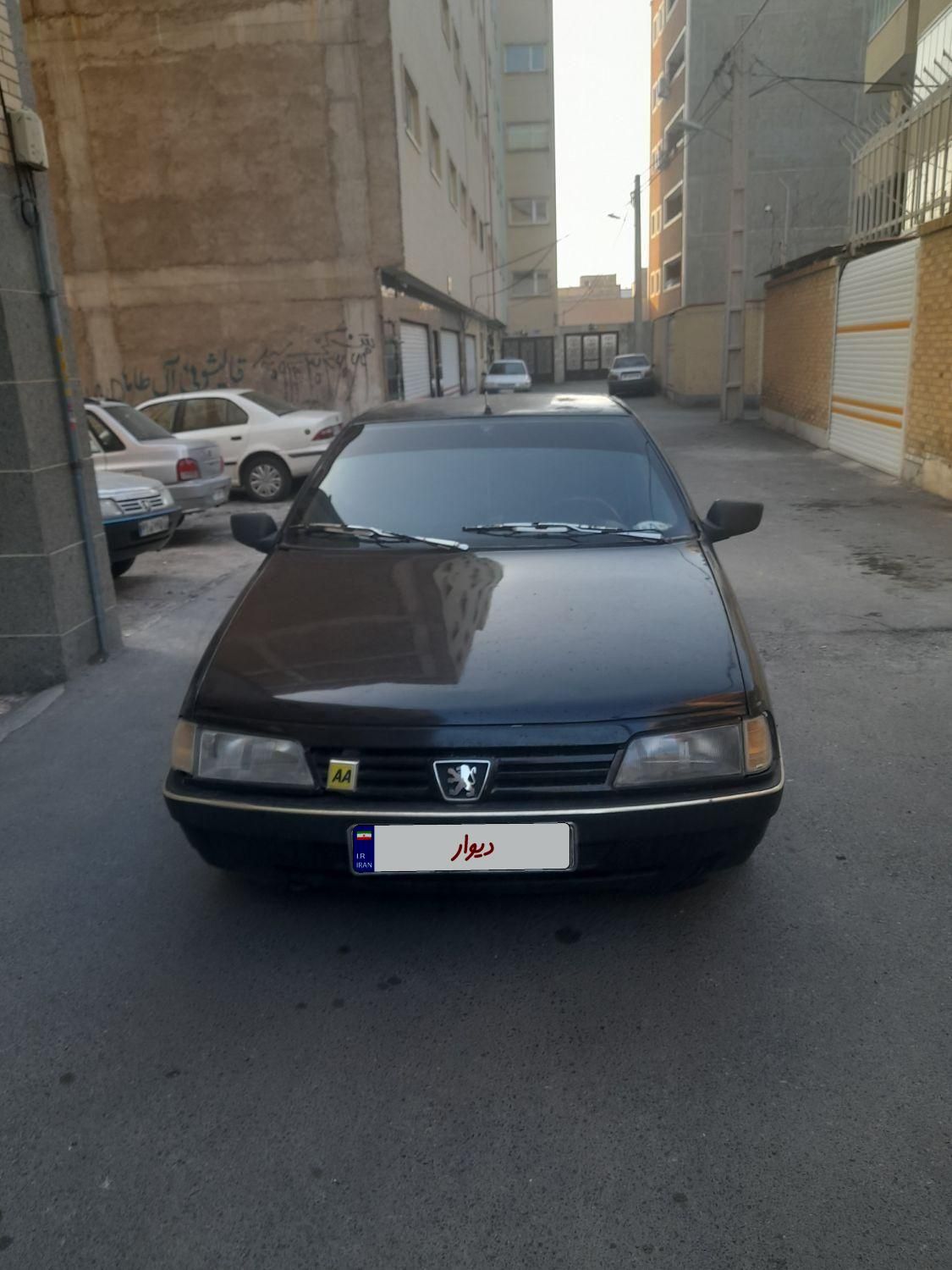 پژو 405 GLX - دوگانه سوز LPG - 1383