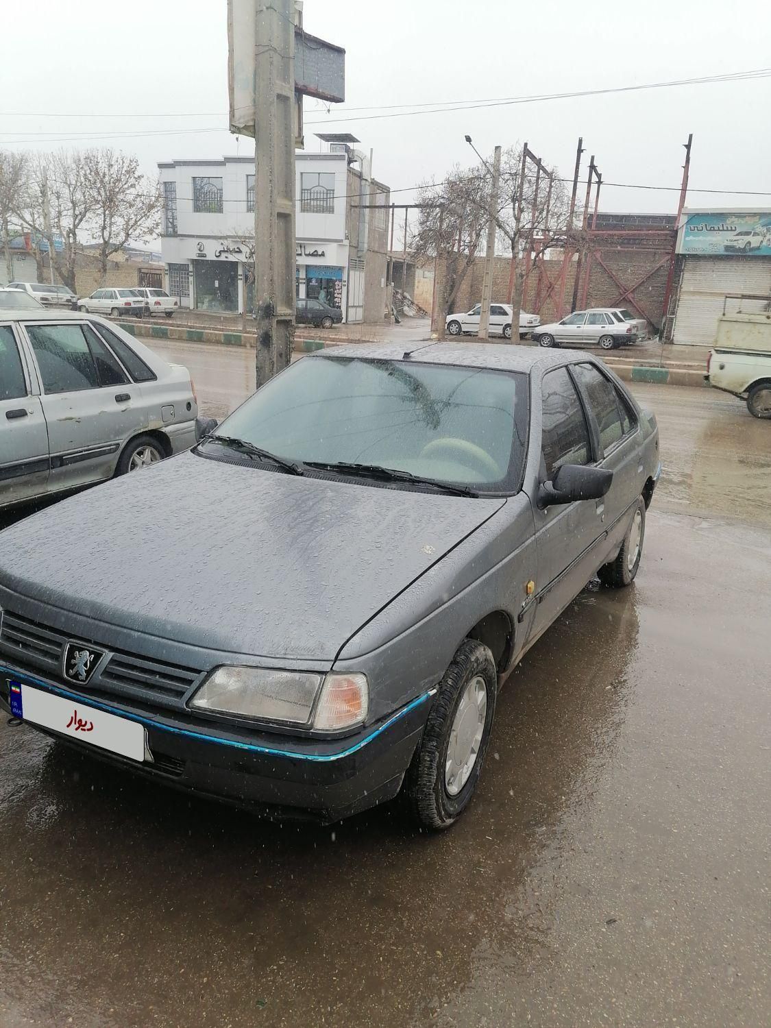 پژو 405 GL - دوگانه سوز CNG - 1369