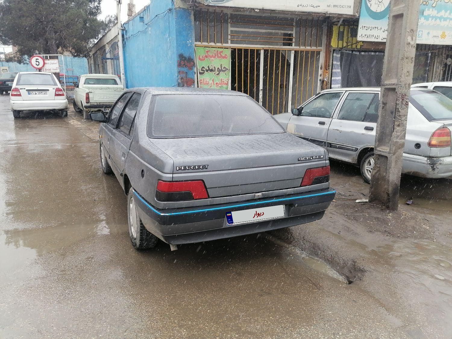 پژو 405 GL - دوگانه سوز CNG - 1369