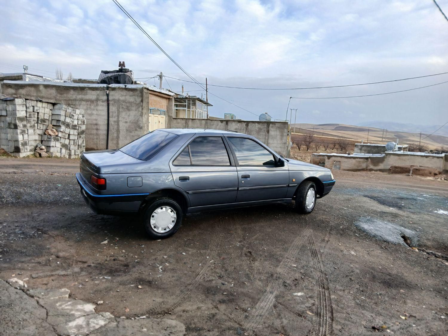 پژو 405 GL - دوگانه سوز CNG - 1373