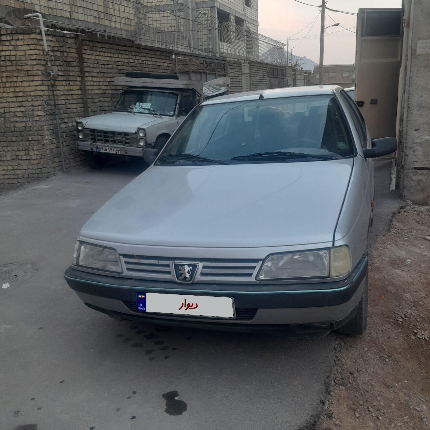 پژو 405 GL - دوگانه سوز CNG - 1369