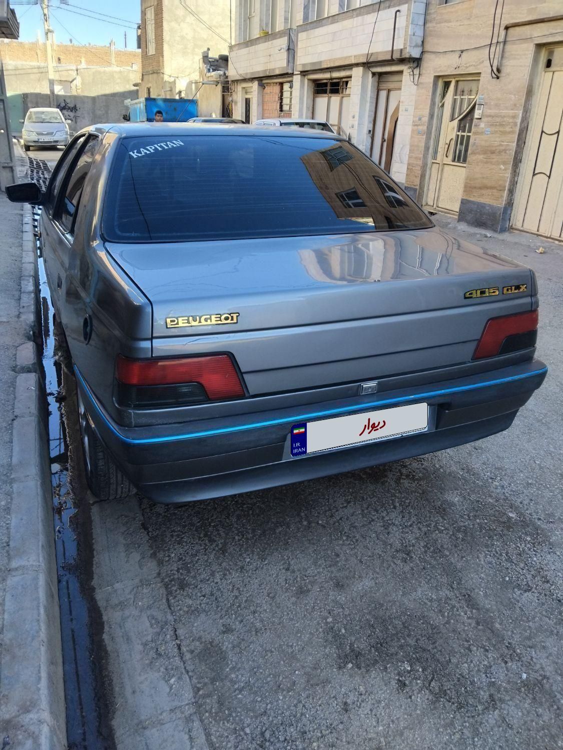 پژو 405 GL - دوگانه سوز CNG - 1369