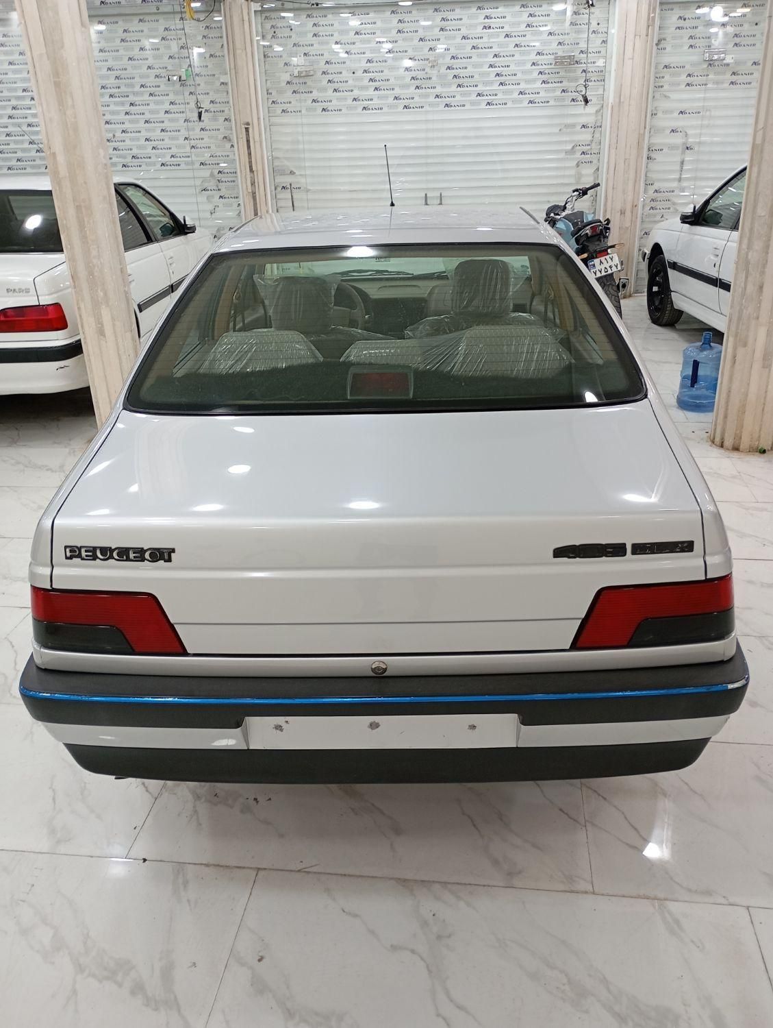 پژو 405 GL - دوگانه سوز CNG - 1369