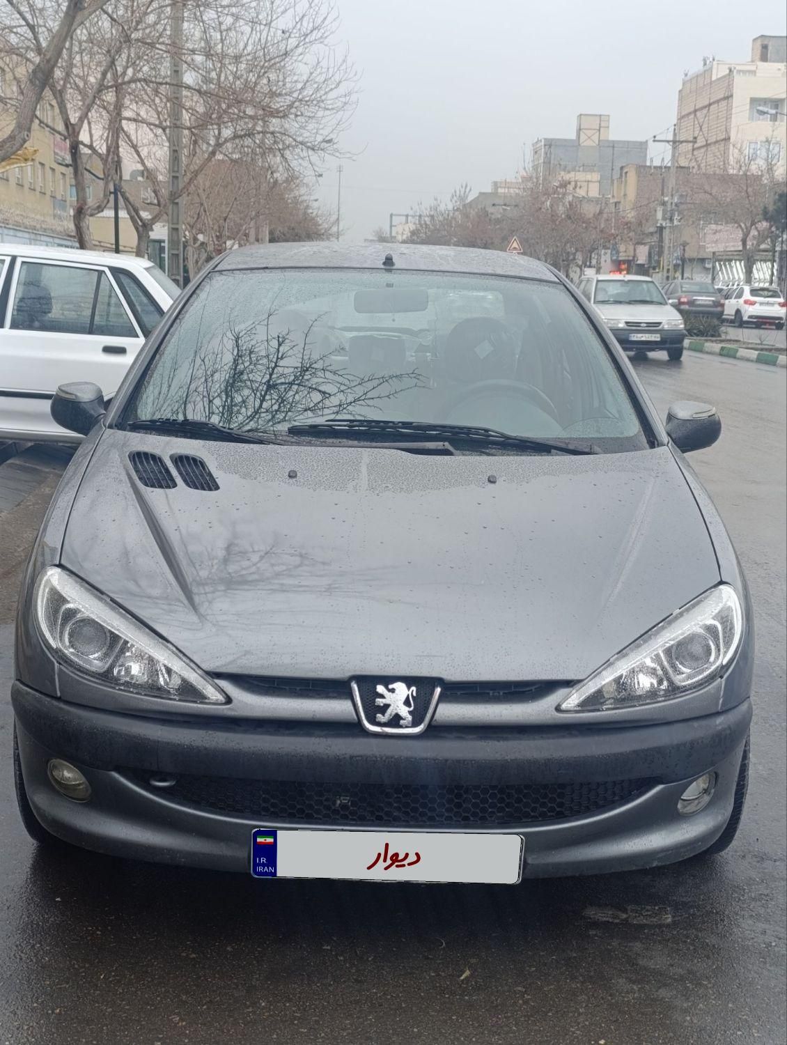 پژو 206 SD v8 - 1395