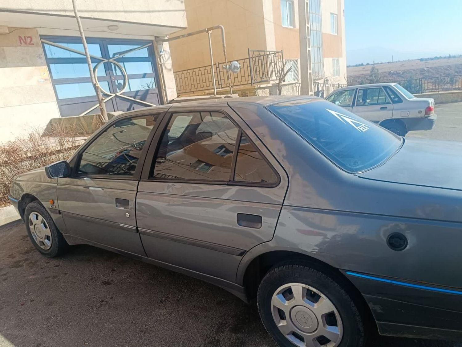 پژو 405 GL - دوگانه سوز CNG - 1373