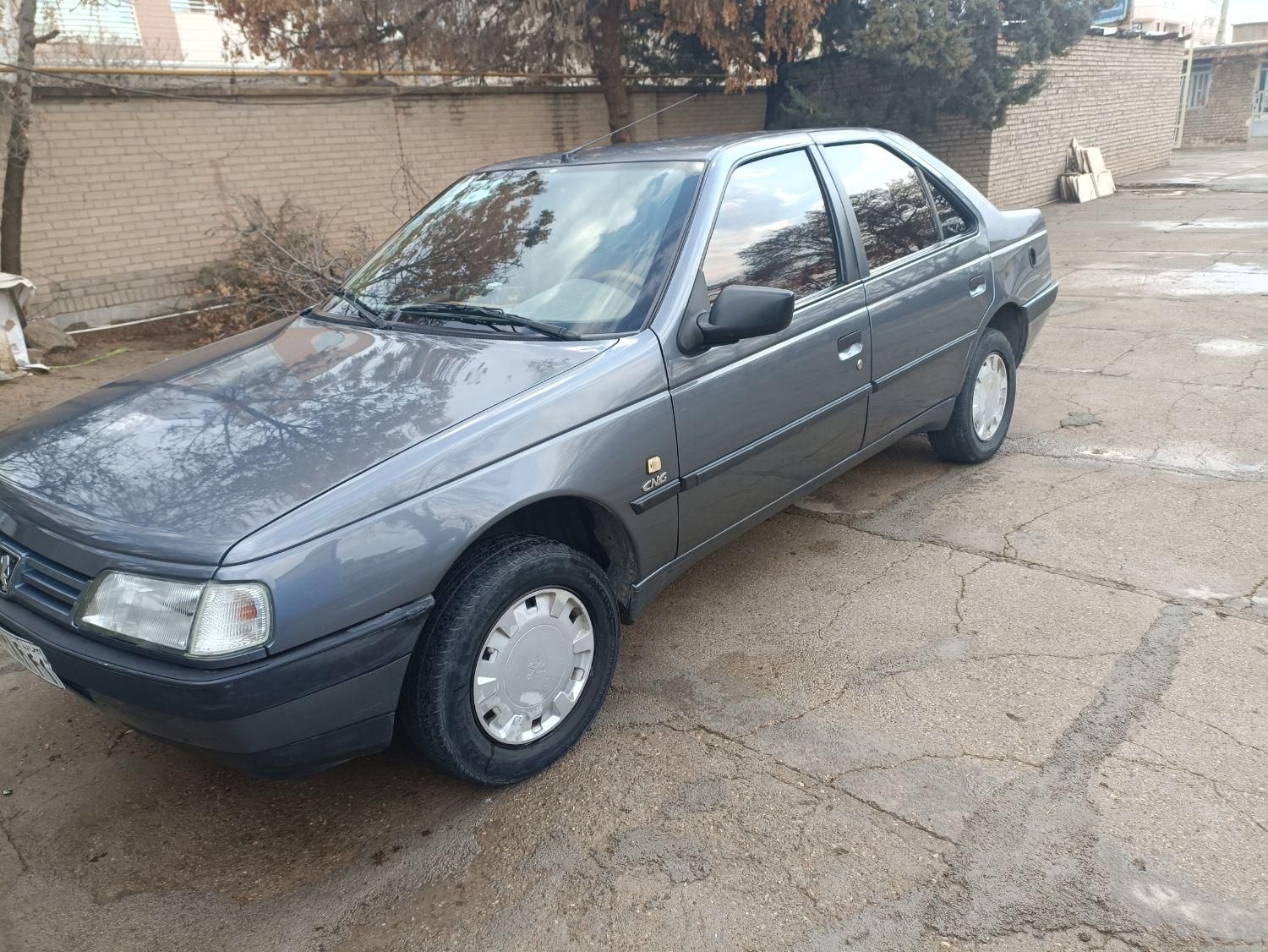 پژو 405 GL - دوگانه سوز CNG - 1369