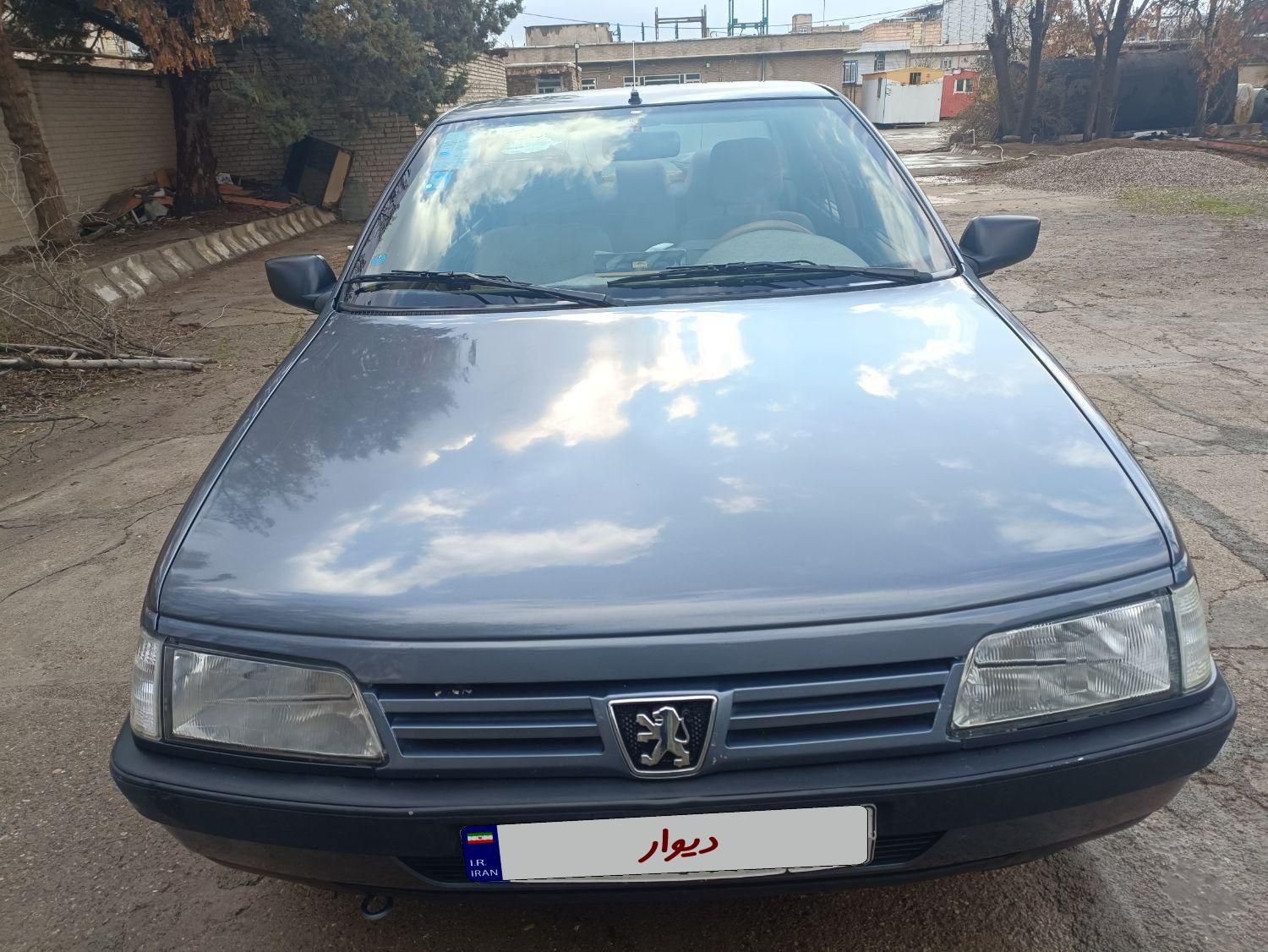 پژو 405 GL - دوگانه سوز CNG - 1369