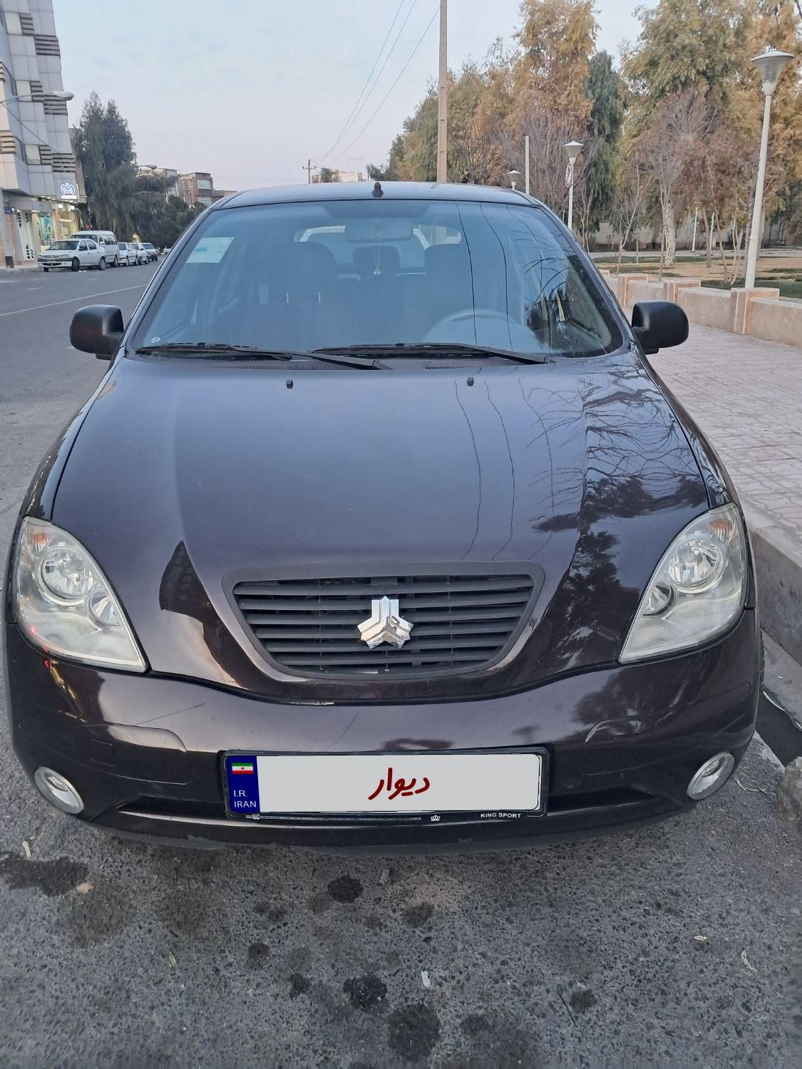 تیبا 2 EX - 1396