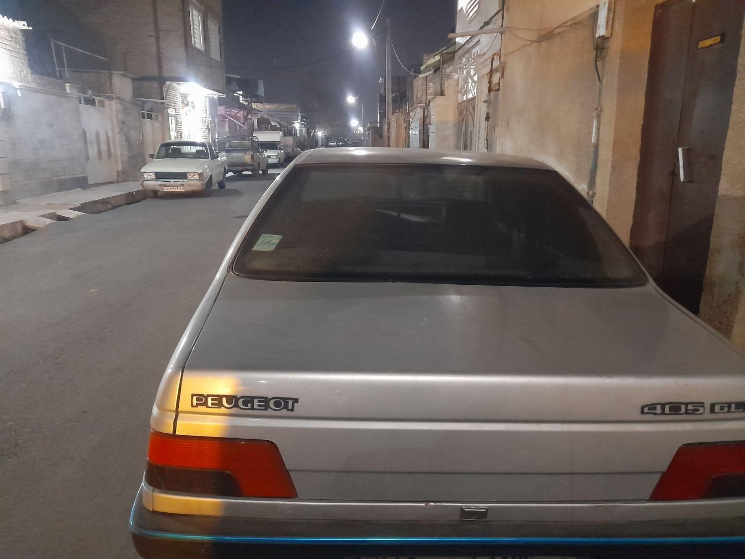 پژو 405 GL - دوگانه سوز CNG - 1369