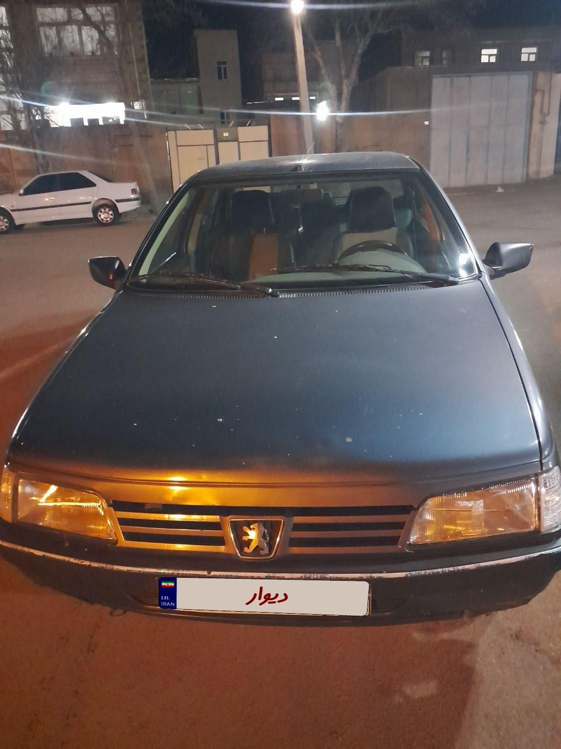 پژو 405 GL - دوگانه سوز CNG - 1373