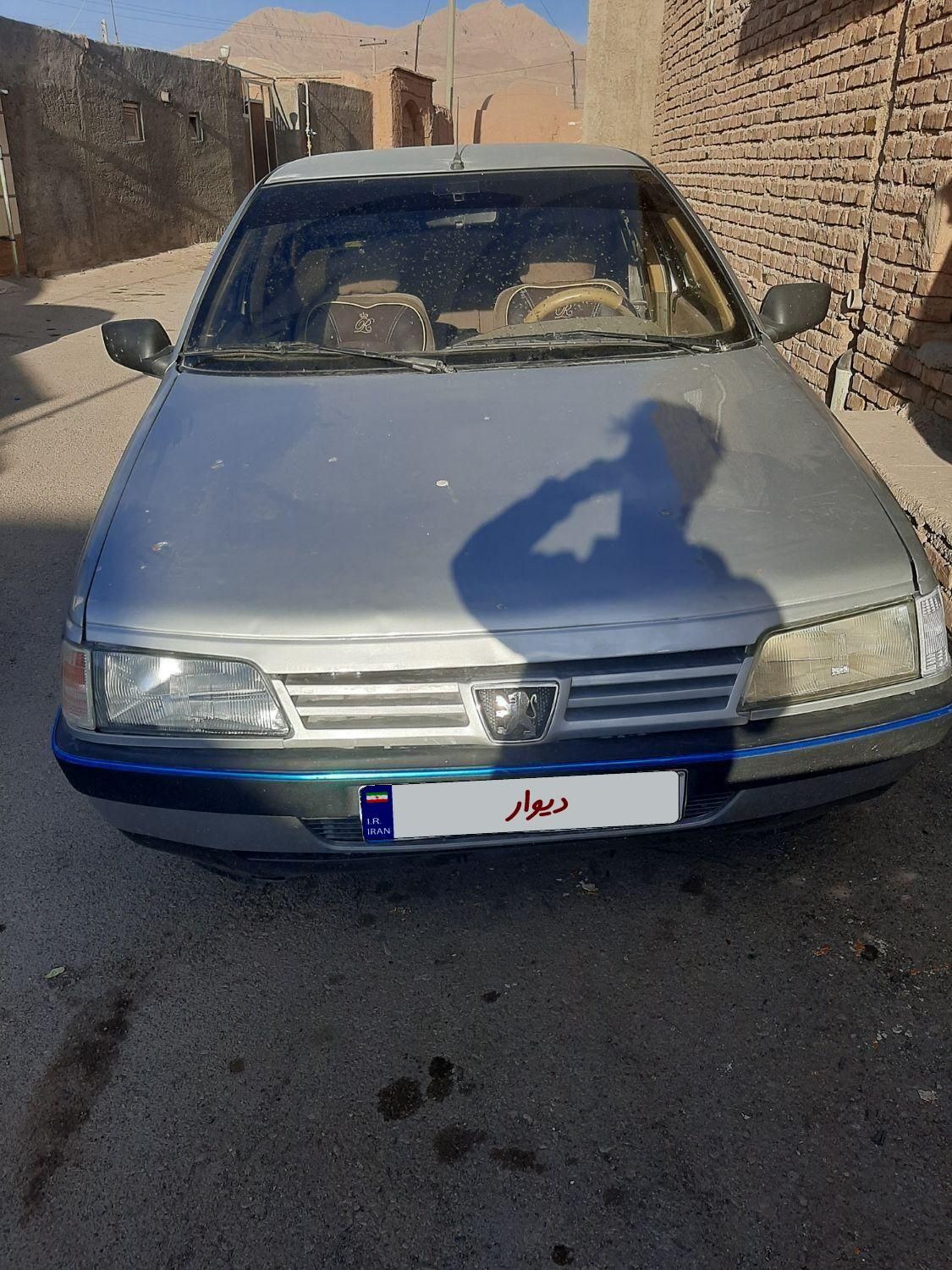 پژو 405 GL - دوگانه سوز CNG - 1369