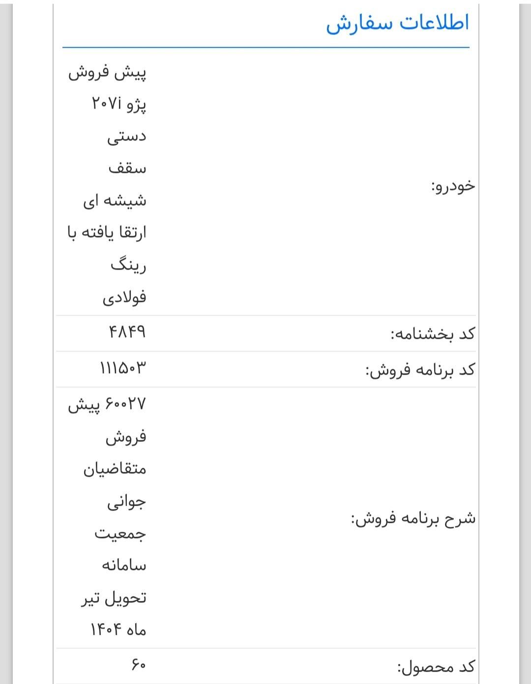 پژو 206 تیپ 3 پانوراما - 1403