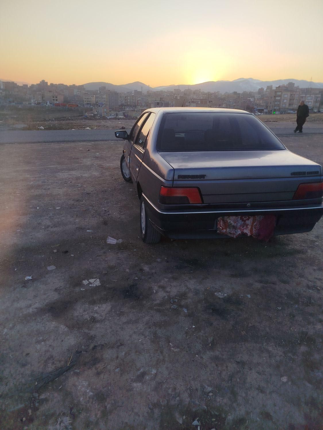 پژو 405 GL - دوگانه سوز CNG - 1373