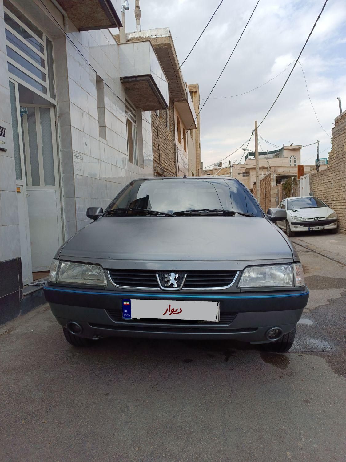 پژو 405 SLX دوگانه سوز XU7 - 1390