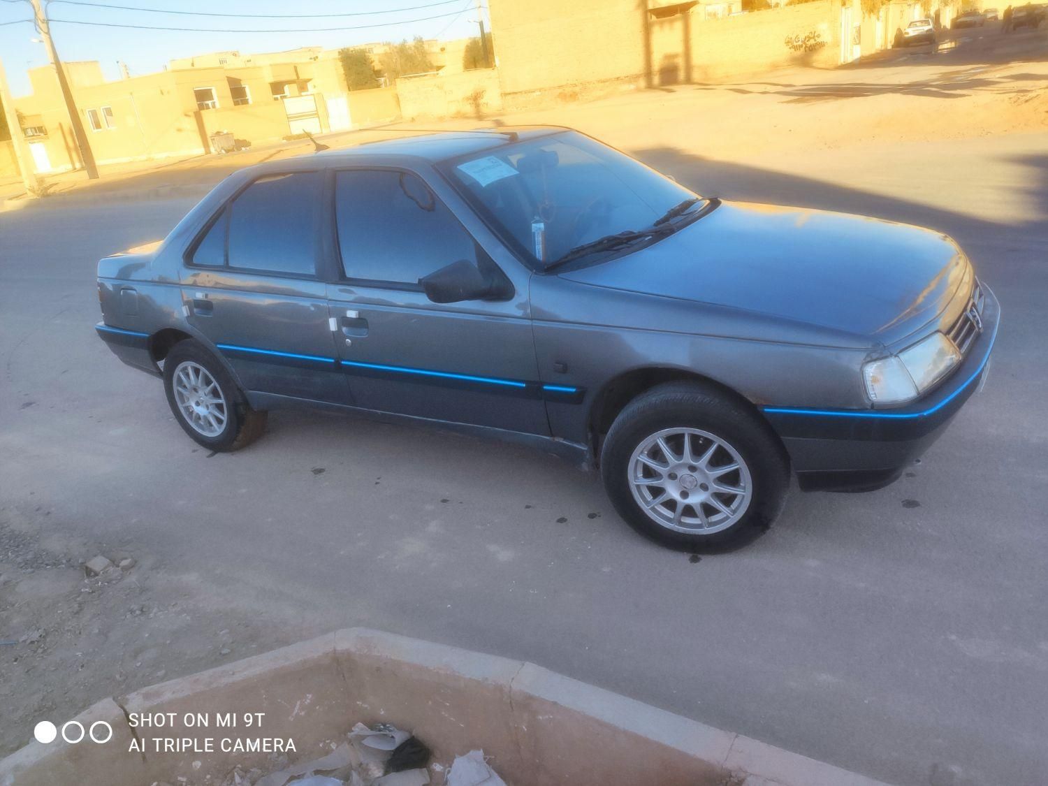 پژو 405 GL - دوگانه سوز CNG - 1369