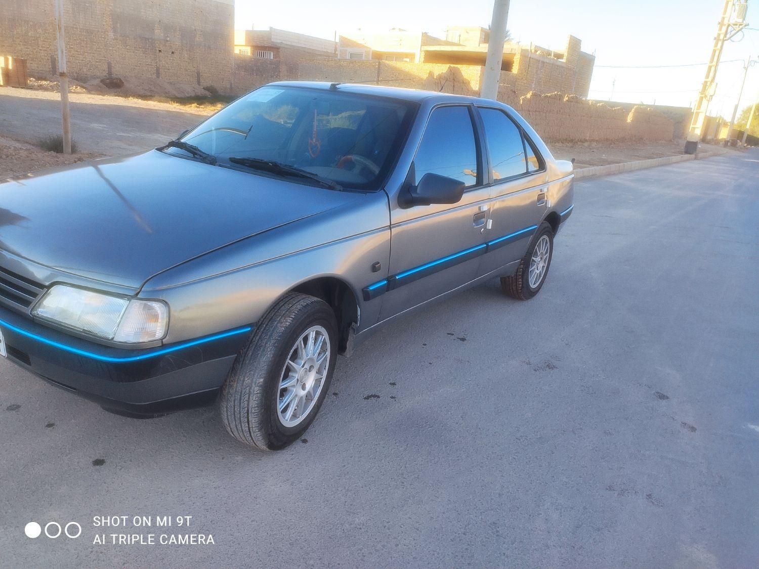 پژو 405 GL - دوگانه سوز CNG - 1369