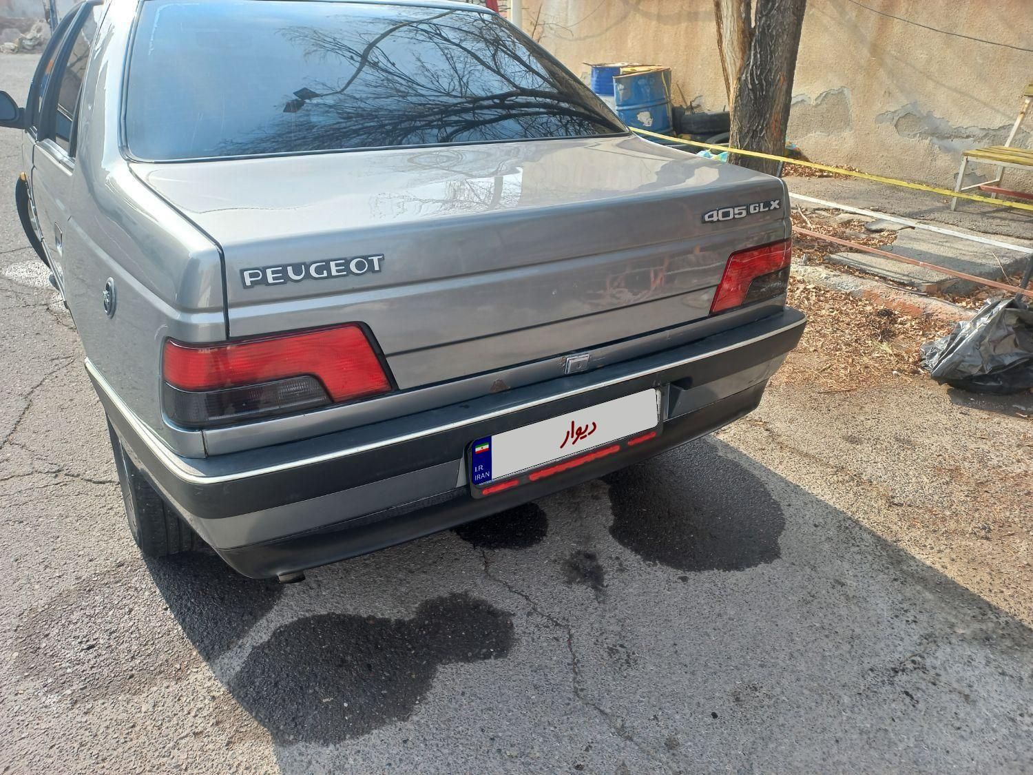 پژو 405 GLI - دوگانه سوز CNG - 1383