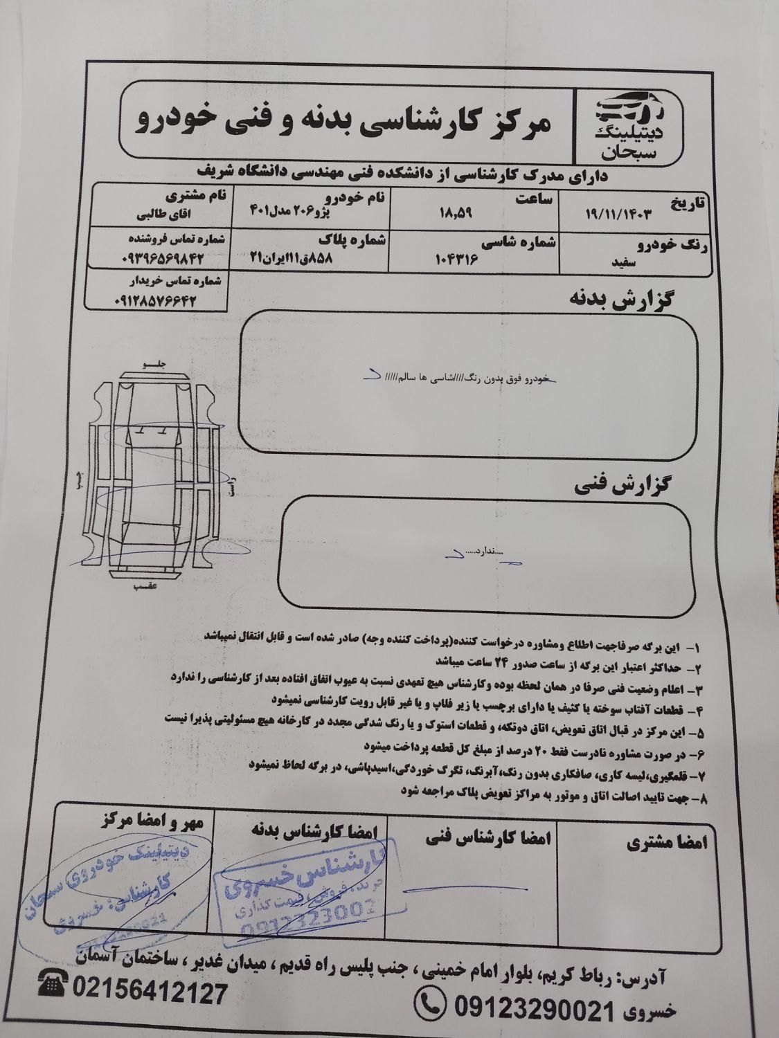 پژو 206 تیپ 2 - 1401