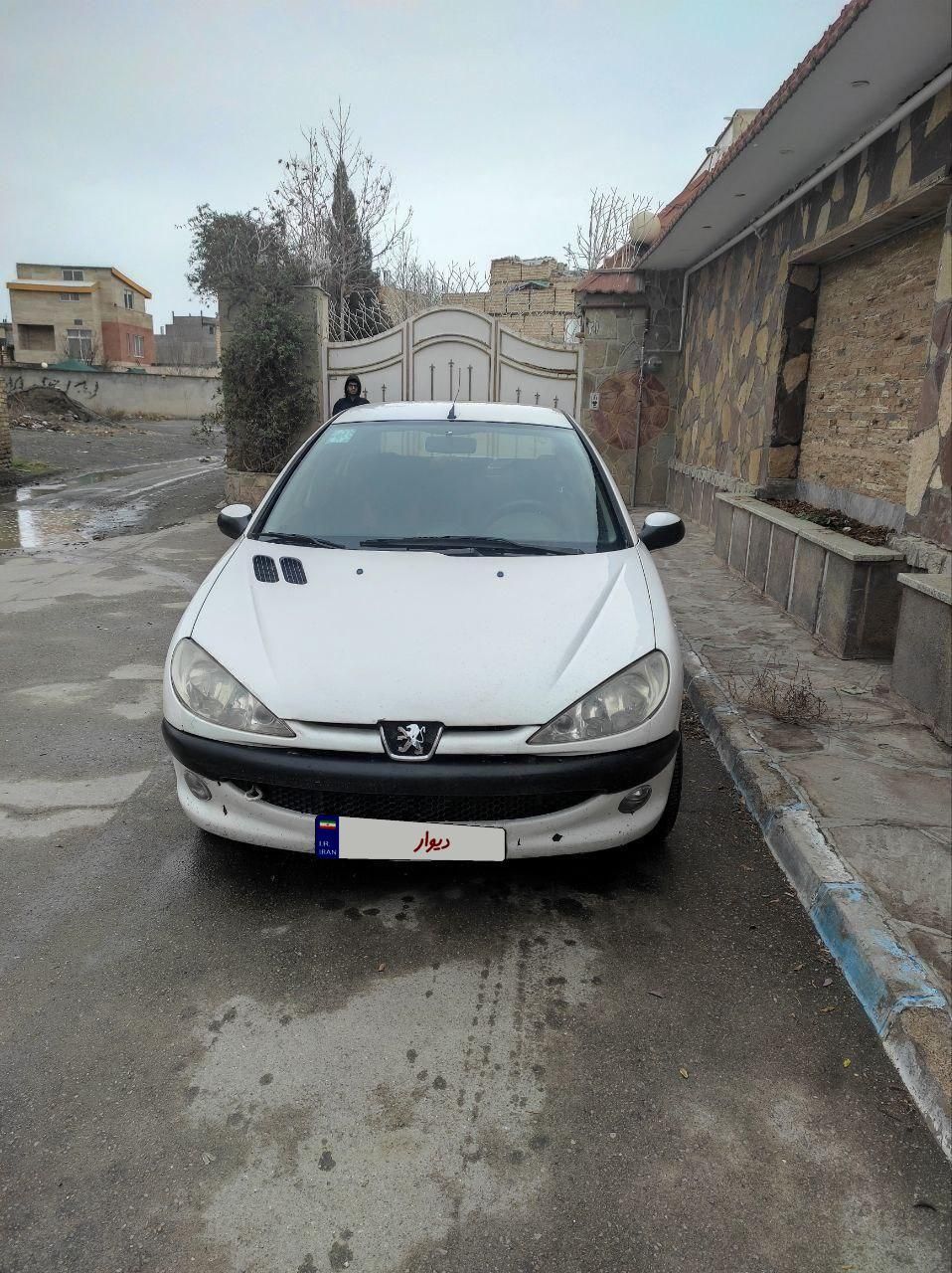 پژو 206 SD v8 - 1394