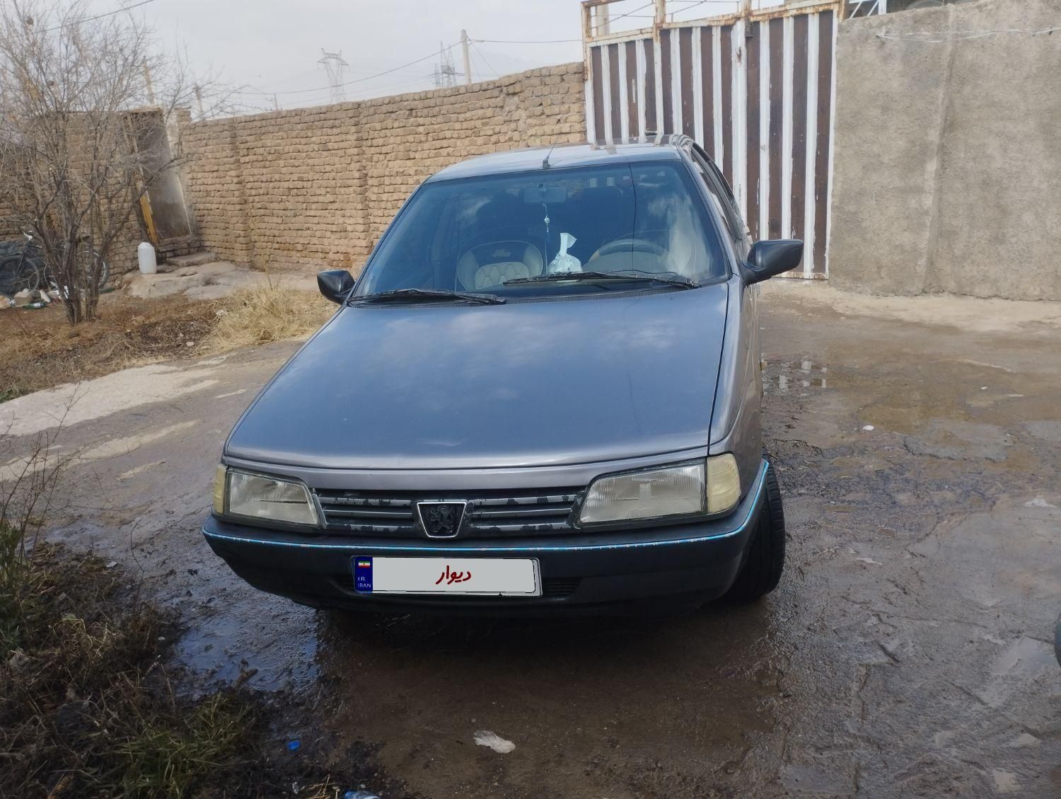 پژو 405 GL - دوگانه سوز CNG - 1373