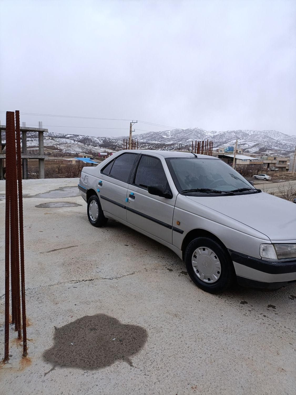 پژو 405 GL - دوگانه سوز CNG - 1369