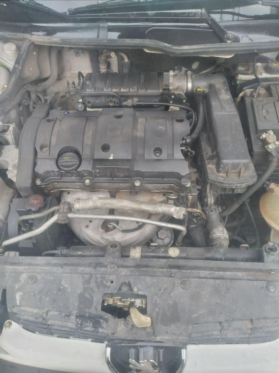 پژو 206 SD v8 - 1393