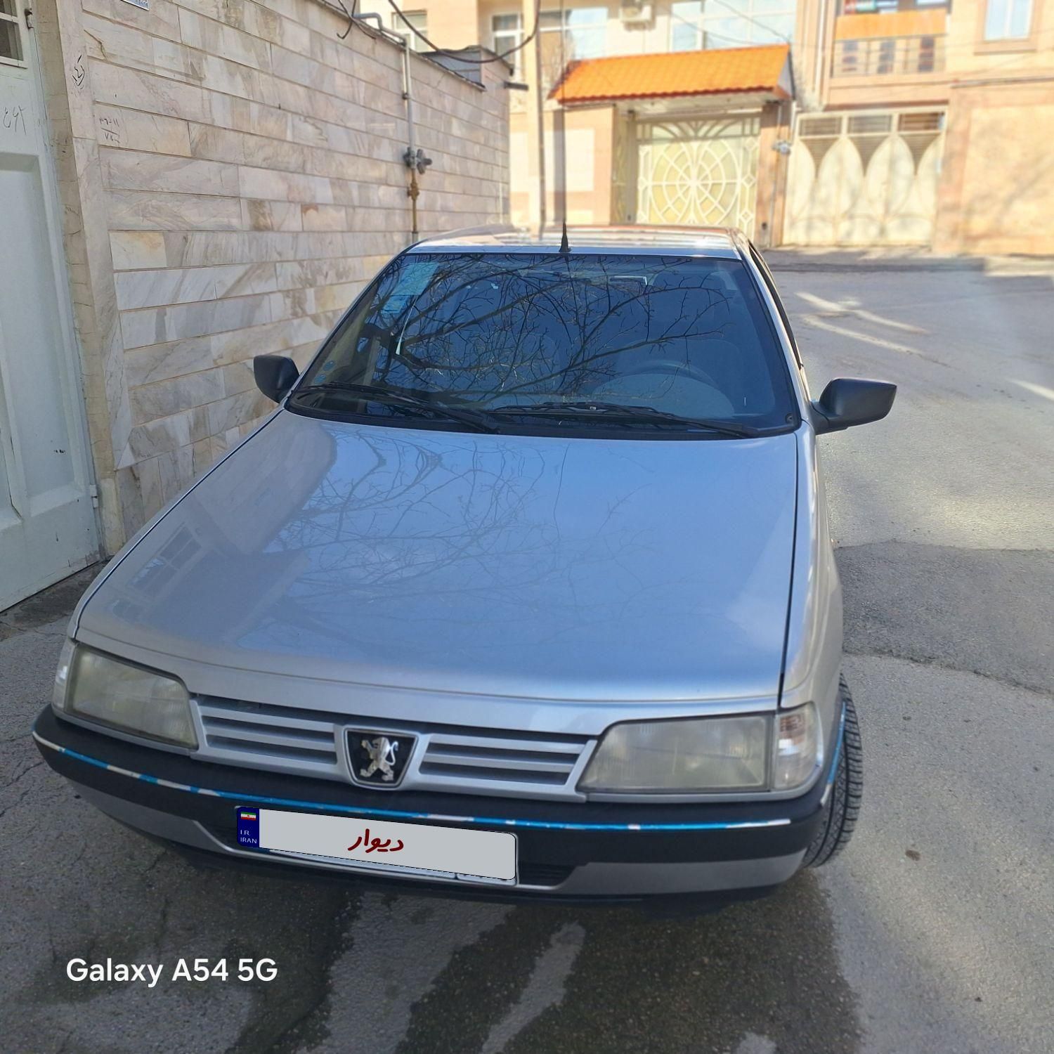 پژو 405 GL - دوگانه سوز CNG - 1369