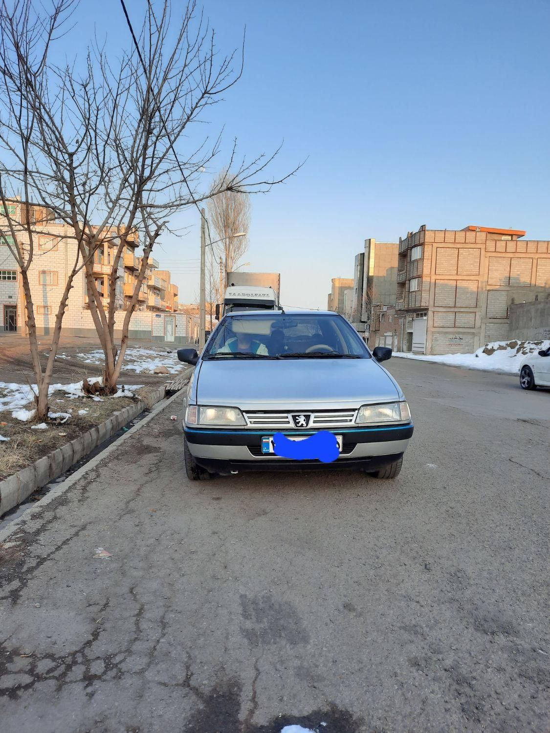 پژو 405 GL - دوگانه سوز CNG - 1369