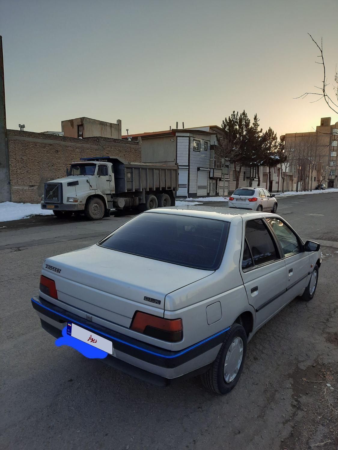 پژو 405 GL - دوگانه سوز CNG - 1369