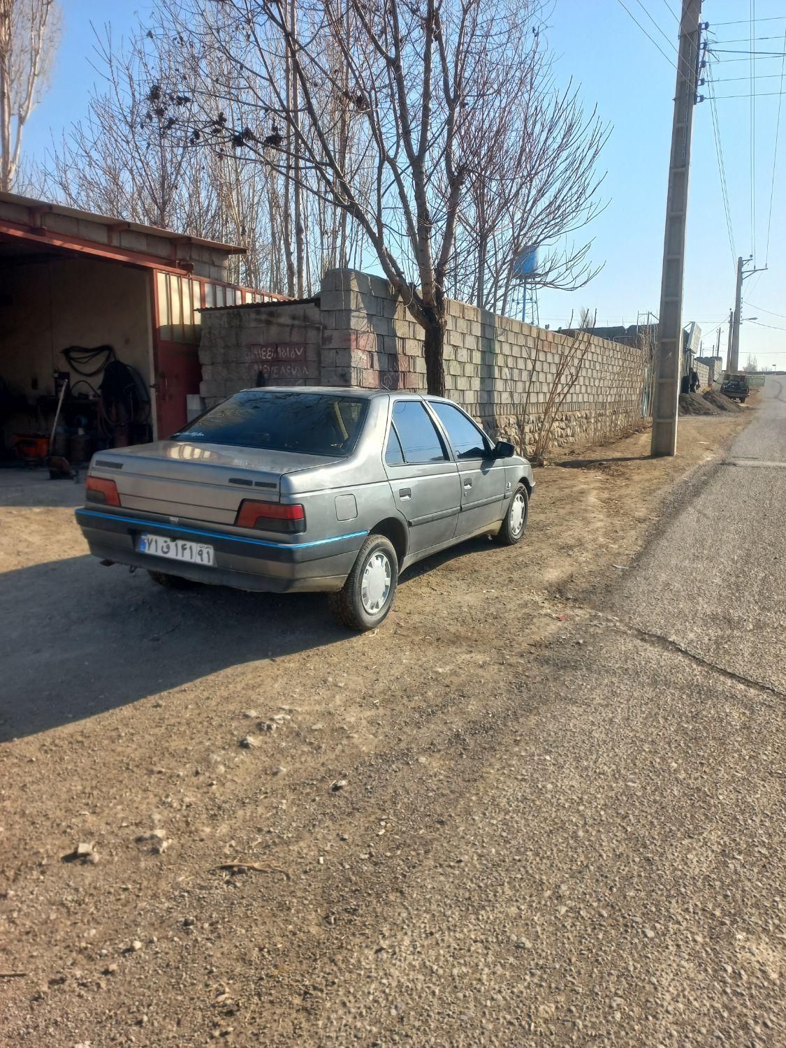 پژو 405 GL - دوگانه سوز CNG - 1369