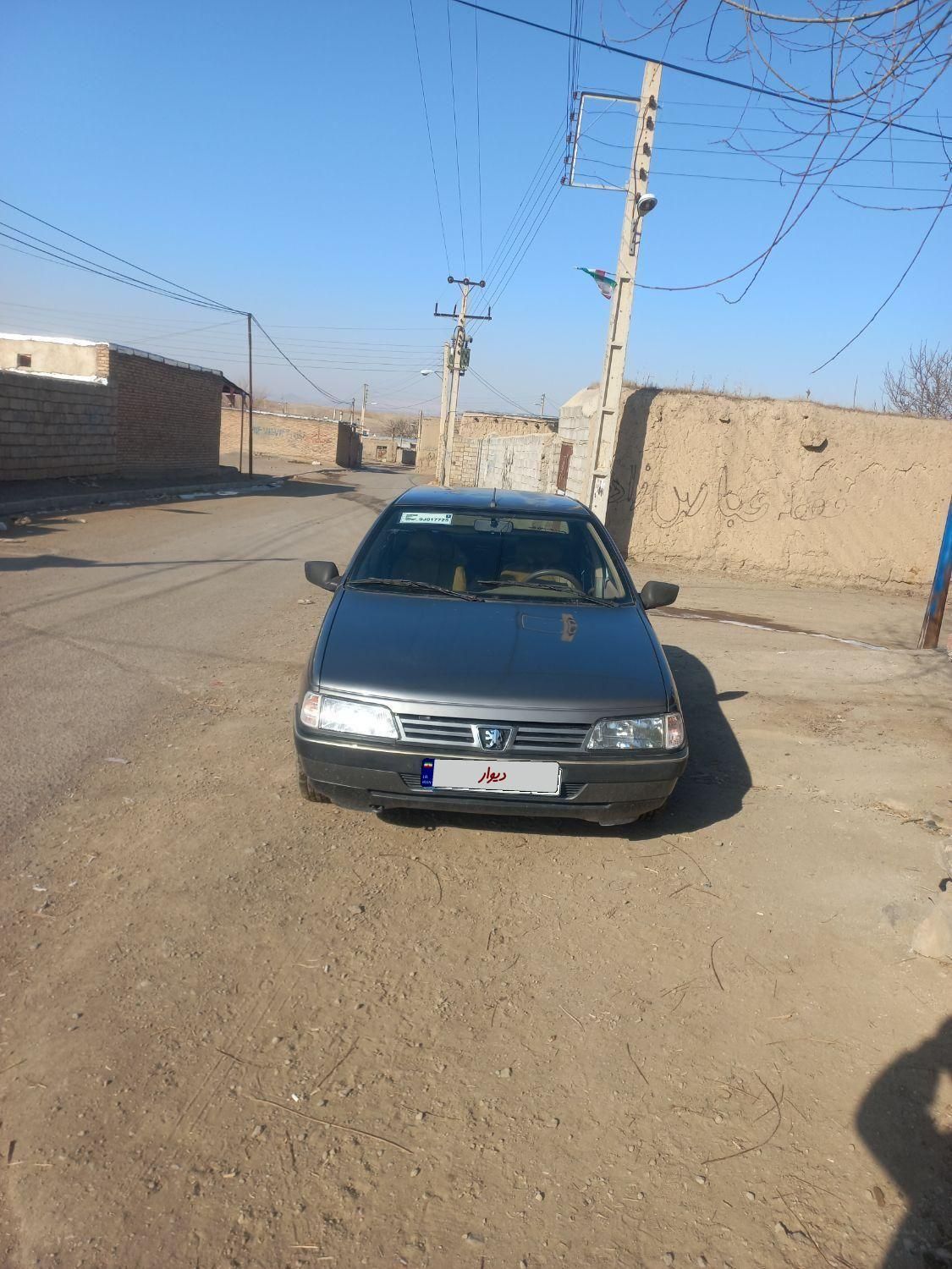 پژو 405 GL - دوگانه سوز CNG - 1369