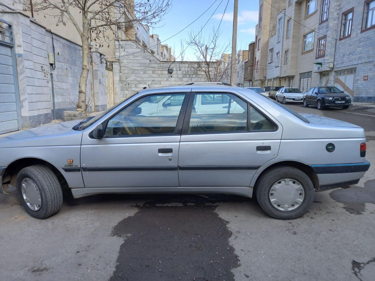 پژو 405 GL - دوگانه سوز CNG - 1369