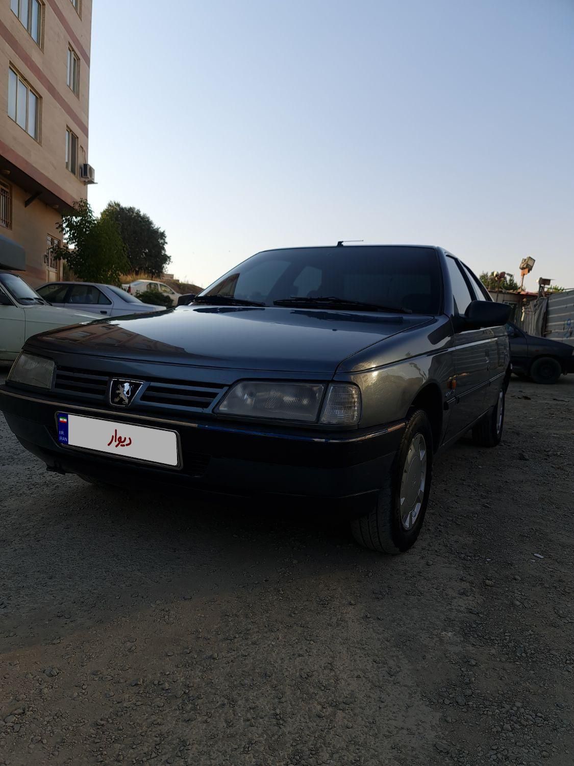 پژو 405 GL - دوگانه سوز CNG - 1371